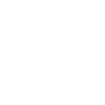 palm law logo FINAL white